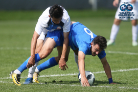 <a href="/hb.bizmrg.com/st.granatkin.com/albums/46/5cff5b2c88b52_1920.jpg" target="_blank">Скачать оригинал</a>