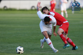 <a href="/hb.bizmrg.com/st.granatkin.com/albums/47/5cfeb319dbef4_1920.jpg" target="_blank">Скачать оригинал</a>