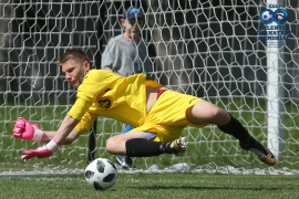 <a href="/hb.bizmrg.com/st.granatkin.com/albums/48/5cffbbcd2f2a1_1920.jpg" target="_blank">Скачать оригинал</a>