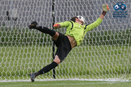 <a href="/hb.bizmrg.com/st.granatkin.com/albums/56/5d02ab91baa94_1920.jpg" target="_blank">Download original</a>